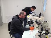 Mike playing with the microscope