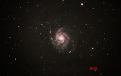 M101190418Finsmall.jpg