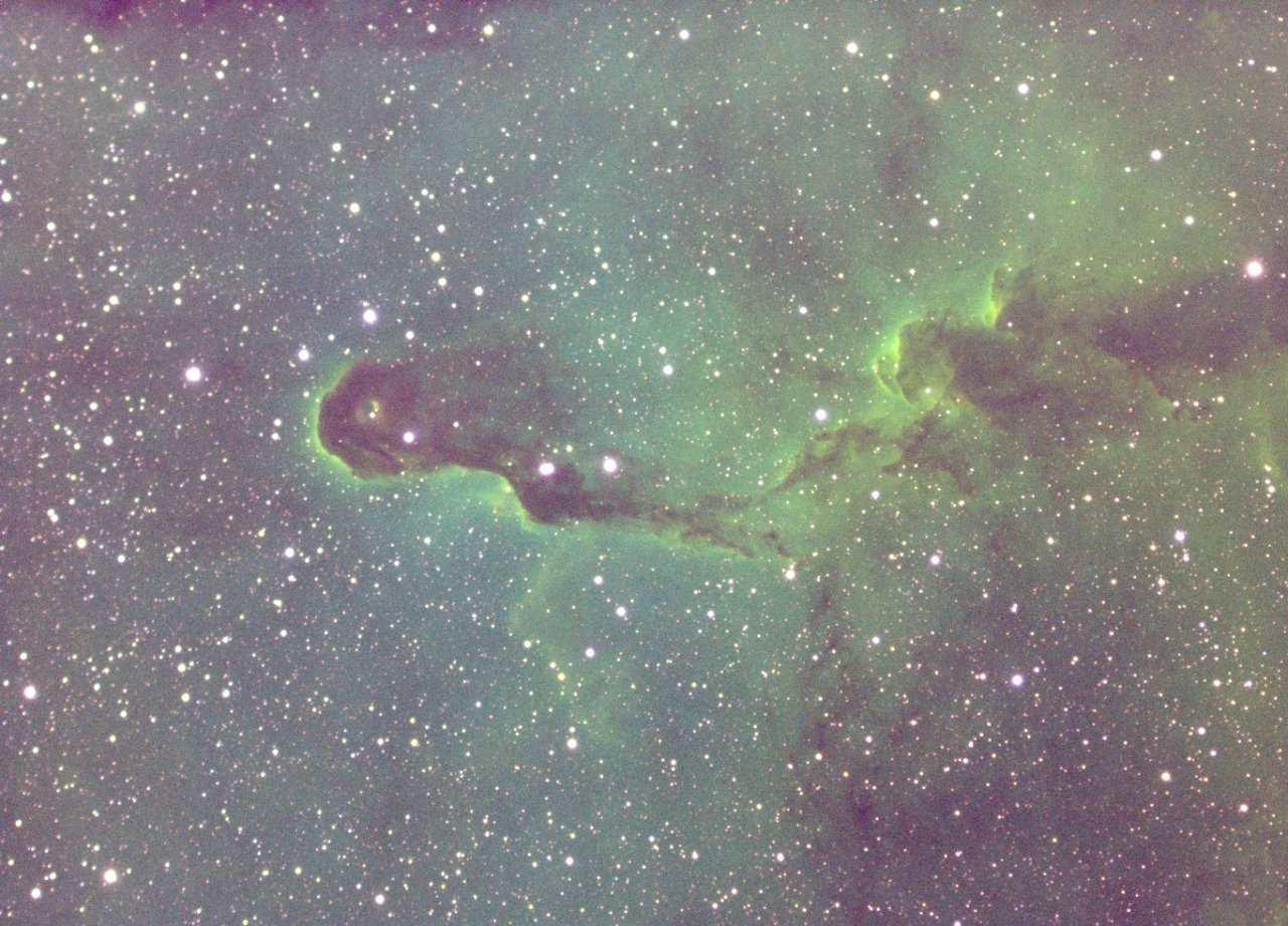 IC1396 SHO v2.jpg