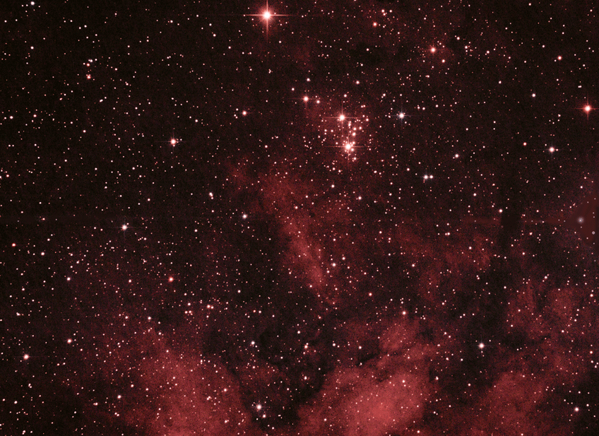 NGC6910060821FinishSmall2.gif