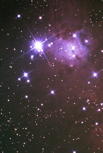 NGC2264try2FinishSmall.gif