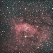 bubble Nebula .jpeg