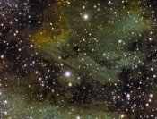 Pelican Nebula SHO.jpeg